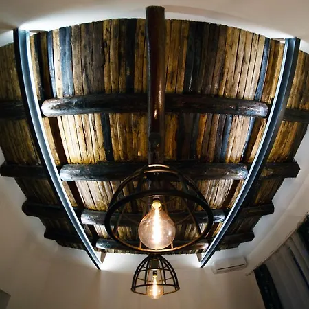 Apartament Central Monkey House *